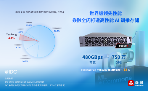 IDC发布2024Q4中国SDS报告焱融存储保持484%的高增长(图2)